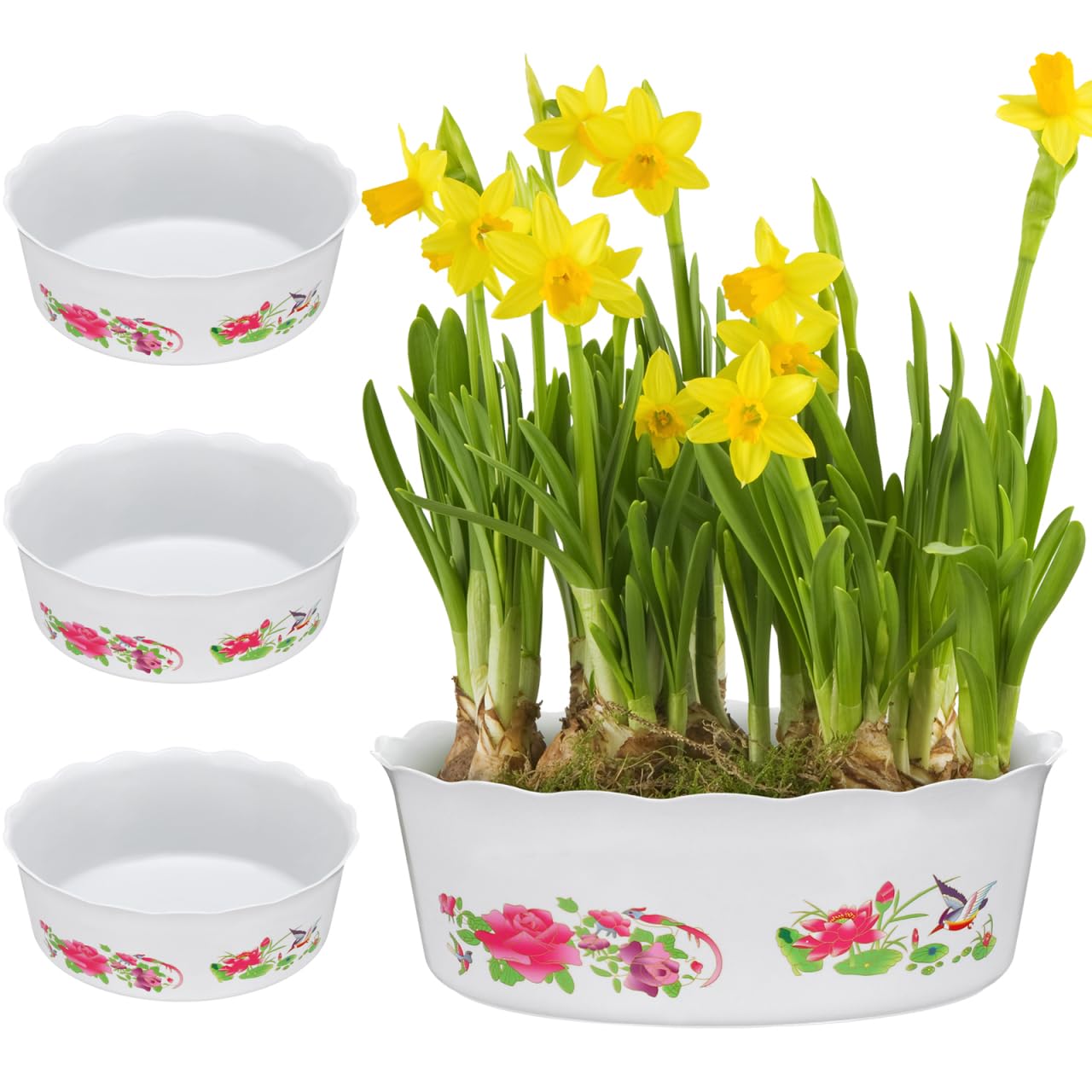 HANABASS 4pcs Lotus Flower Pot, Hydroponic Planter Water Lily Narcissus Planting Bowls Plastic Fish Bowl Shallow Flower Pot Daffodil Planter Succulent Holder Container