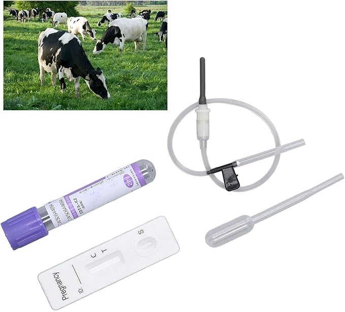 Bovine Cow Rapid Early Pregnant Pregnancy Test Kit with Colloidal Gold Method, & Fully Equipped, Suitable for Cows Over 28 Days Old, Dairy Livestock