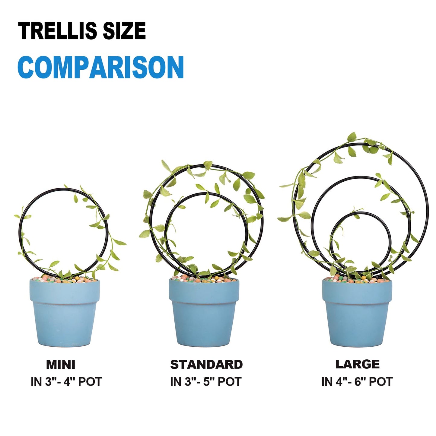 Mirthdino Premium Hoya Trellis - Unique Metal Plant Support for Climbing Plants - Set of 3 Different Sizes - Ideal for Indoor and Potted Plants
