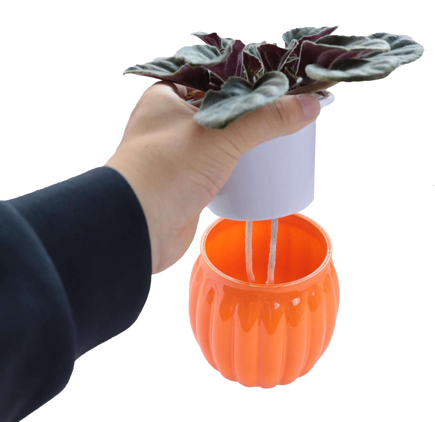 Cornasee 4" Pumpkin Planter Self Watering Pot for Halloween Decor, 4-Pack Small Plastic Planters for Indoor Plants,Flowers,Succulent,African Violets (Orange, 4")