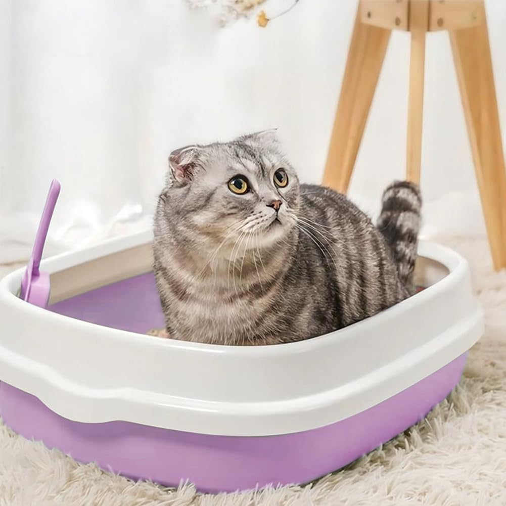 Kitten Starter Kit - 16 Pcs Cat Essentials Set Includes Litter Box, Toys, Collars, Scratch Pad, Nail File, Automatic Feed Bowls, Grooming Gloves (Purple, 16 Pcs)