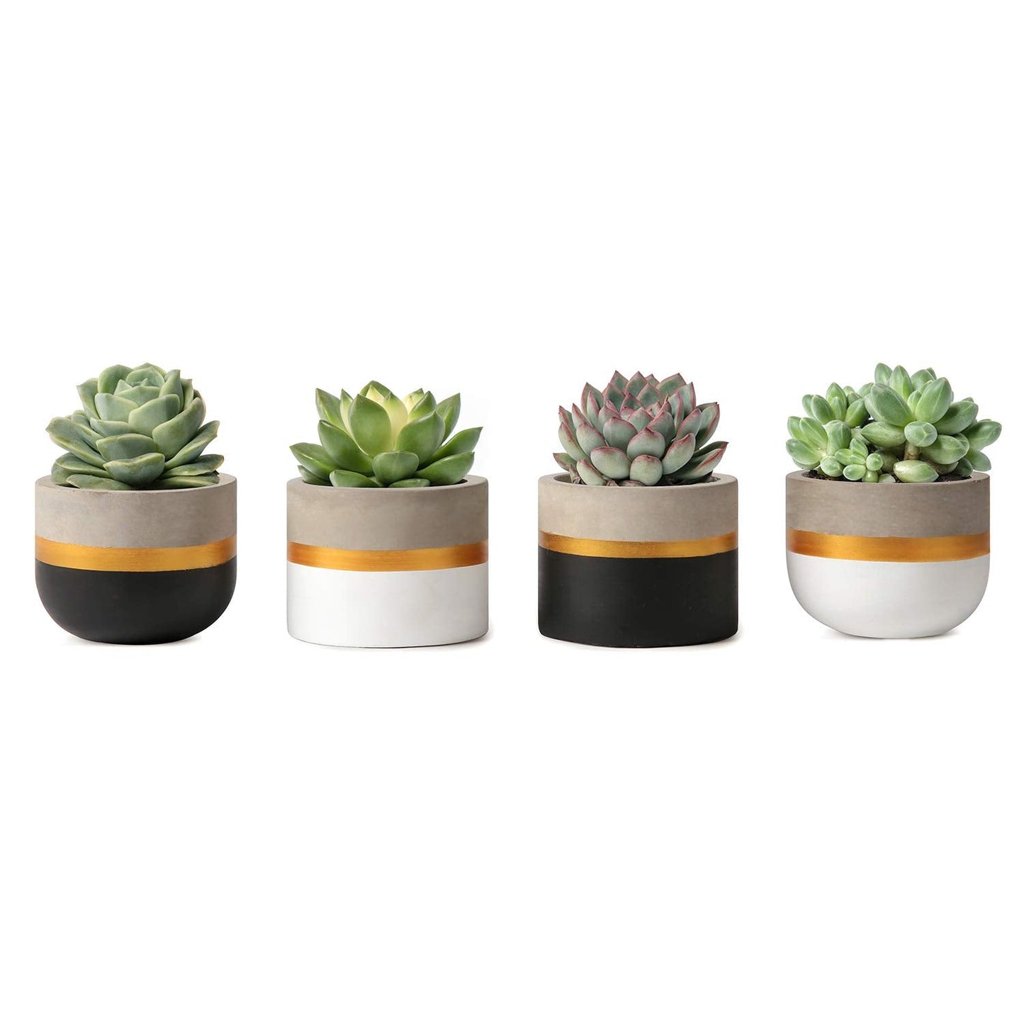 Mkono 3 Inch Mini Succulent Pots Concrete Planter Set, Modern Tiny Container for Indoor Plants, Christmas Home Office Decor Gifts for Plant Lovers (Plant NOT Included)