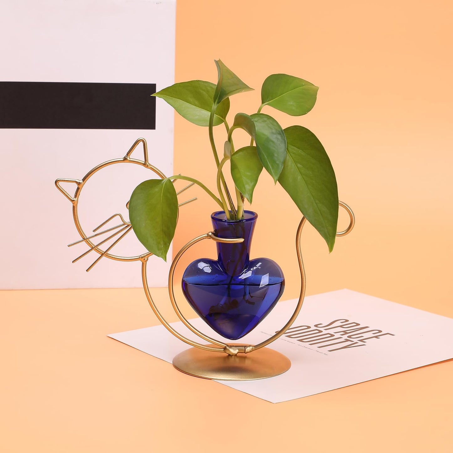 Plant Terrarium Plants Propagation Station Cat Lover Gifts for Women Home Office Decor Cat Desk Accessories
