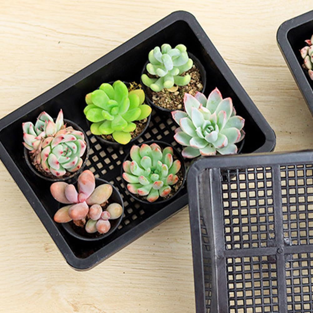 YARNOW 10 Pcs Mesh Bottom Trays Seedling Starter Trays Plastic Plant Reusable Recyclable Grow Plants Start Seeds Germination for Greenhouse Hydroponics Home Decor Accents