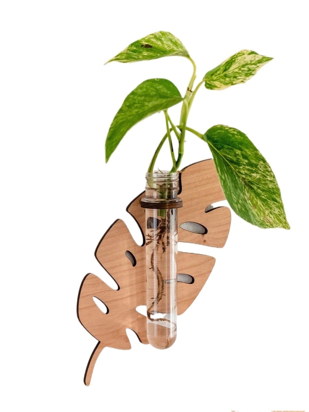 Edgiyuo 2 Pcs Leaf Shape Wooden Wall Planters with Test Tube Vase - Indoor Propagation Station for Home Garden Decor