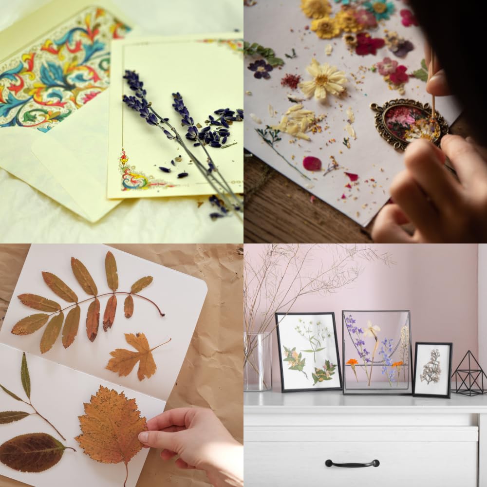 ECOHOME Flower Press Kit Replacement Cardboard Sheets - Ideal for Paper Crafting with Dried Flowers, Extends Lifeline, & Versatile Use in Botanical Art, 11.5x8.2 Size