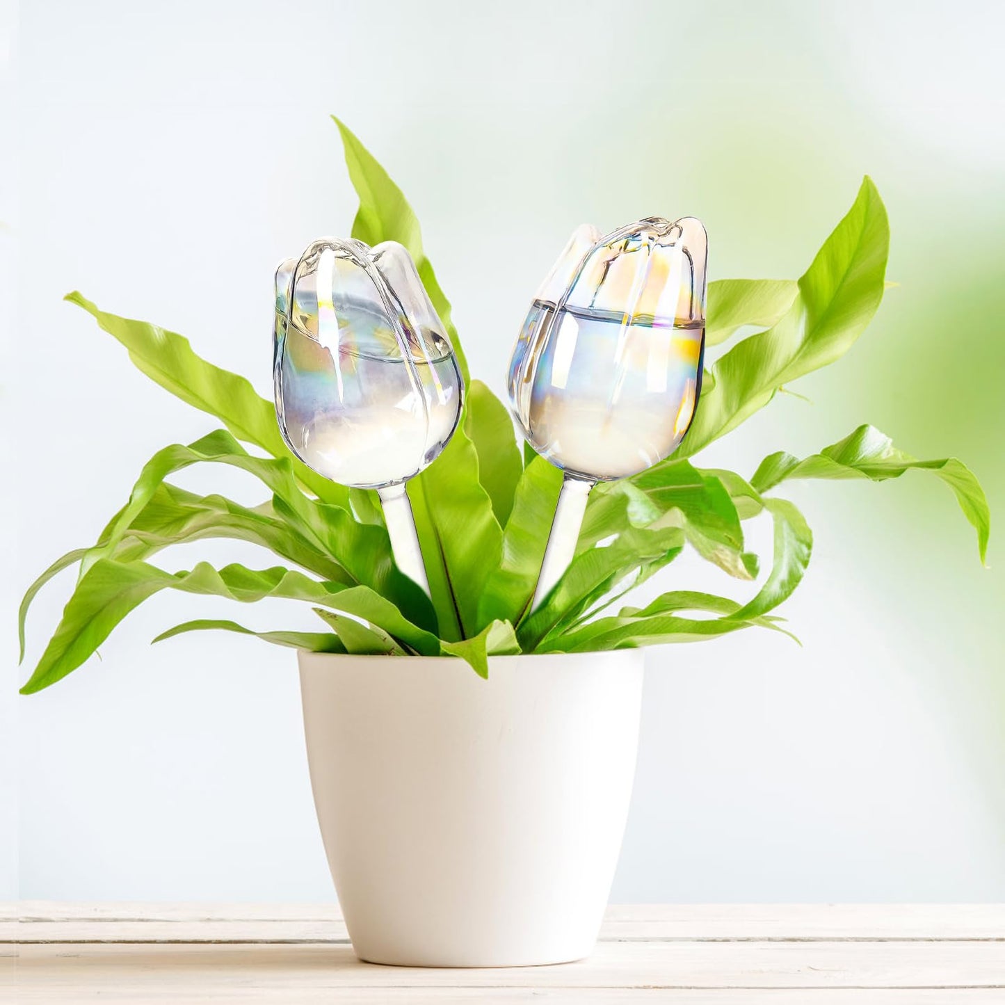 2Pcs Tulips Self Plant Watering Globes, Glass Self Watering Planter Insert, Automatic Plant Waterer Devices Indoor Outdoor (Transparent)