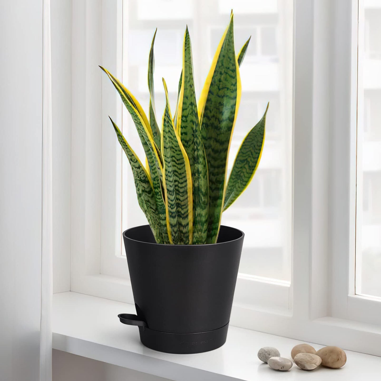 SPEPLA 8 Inch Self Watering pots for Indoor, 6 Pack Plastic Plant Pots with Drainage Holes, Black