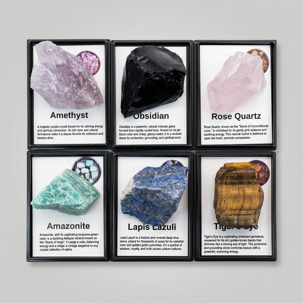 6 Pcs Natural Gemstone Specimens Set, Includes Tiger Eye, Amazonite, Lapis Lazuli, Amethyst, Rose Quartz & Obsidian, Comes with Acrylic Display Case with Removable Lid