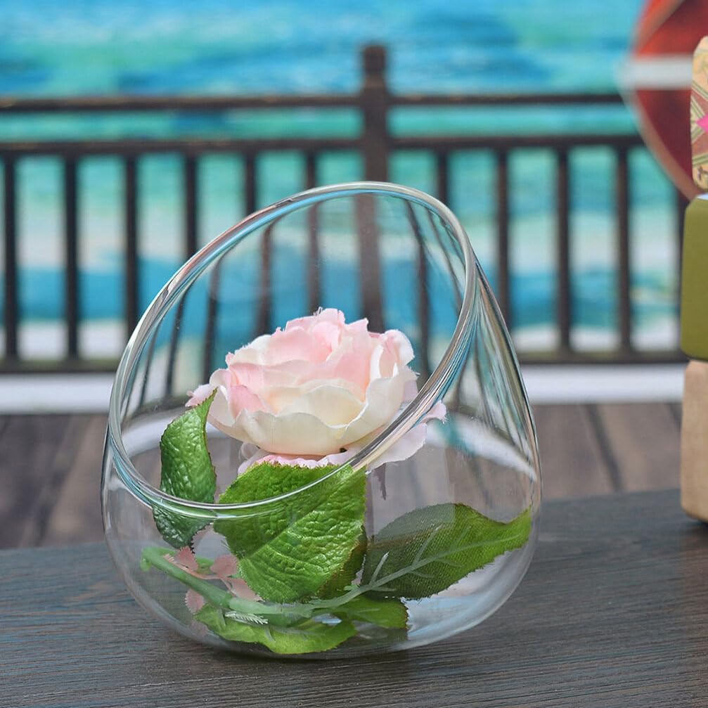 GANAZONO Garden Plant Eco Bottle Glass Terrarium Large Sturdy Succulent Pot for Indoor Plant Dec