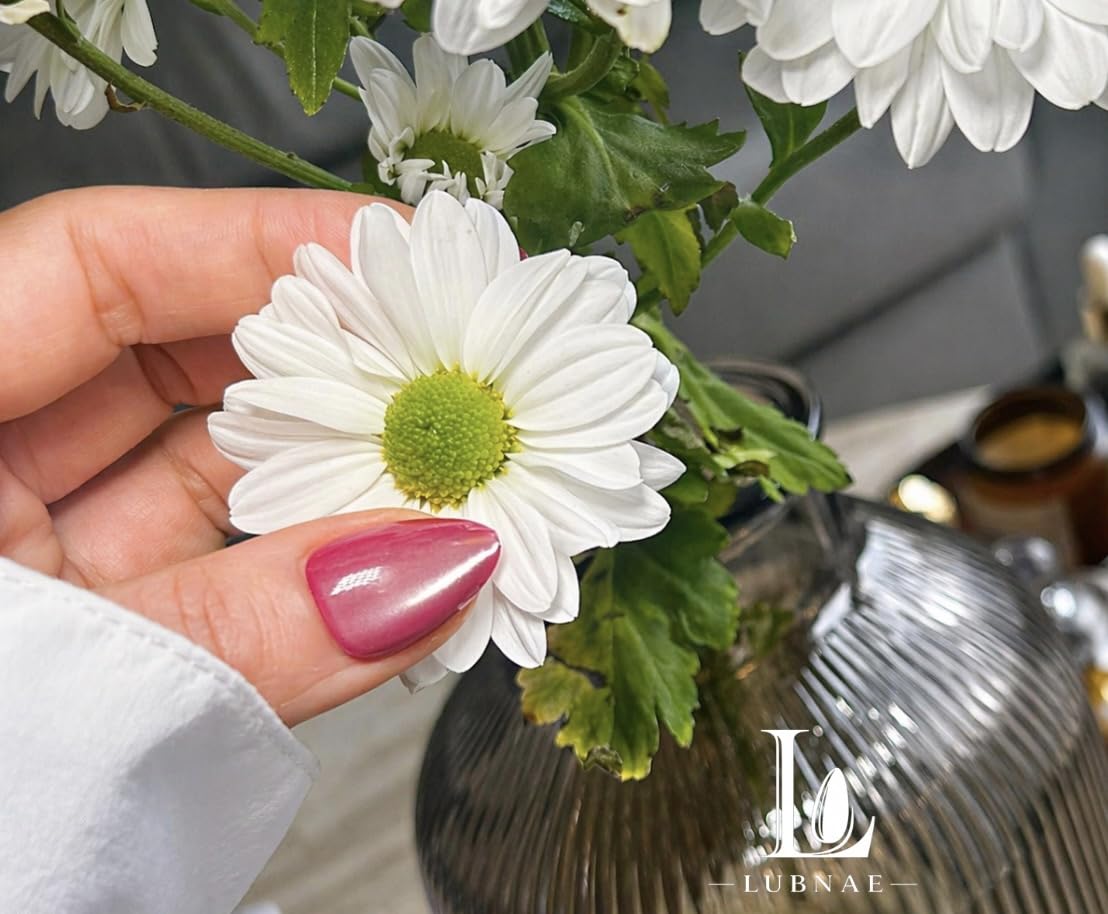 Lubnae - Designed in PARIS. Luxury Collection Press-On Nails – Collection – 30 Reusable Nails with Glue – Almond Short – Salon Quality at Home (Elegant Cat Eye)
