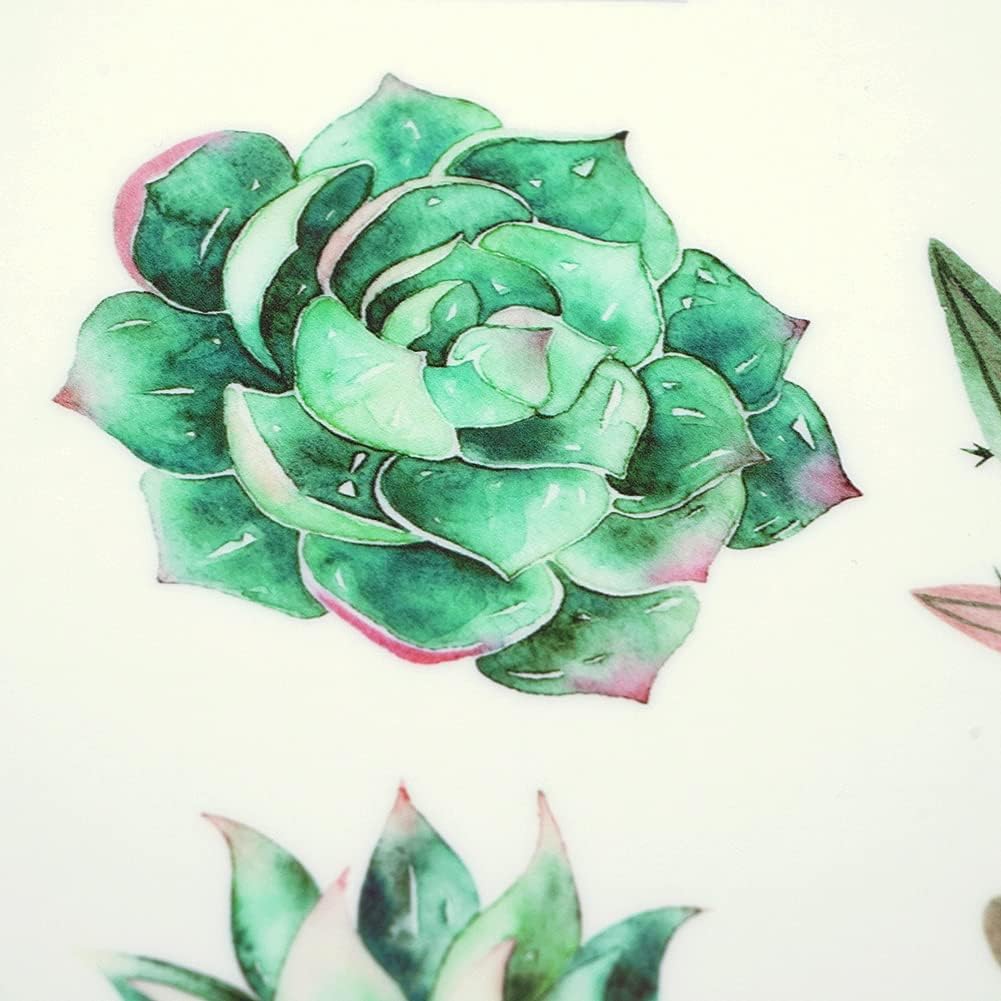 Luminous Window Wall Decals Switch Sticker Decoration Stickers for Home Office School Cactus