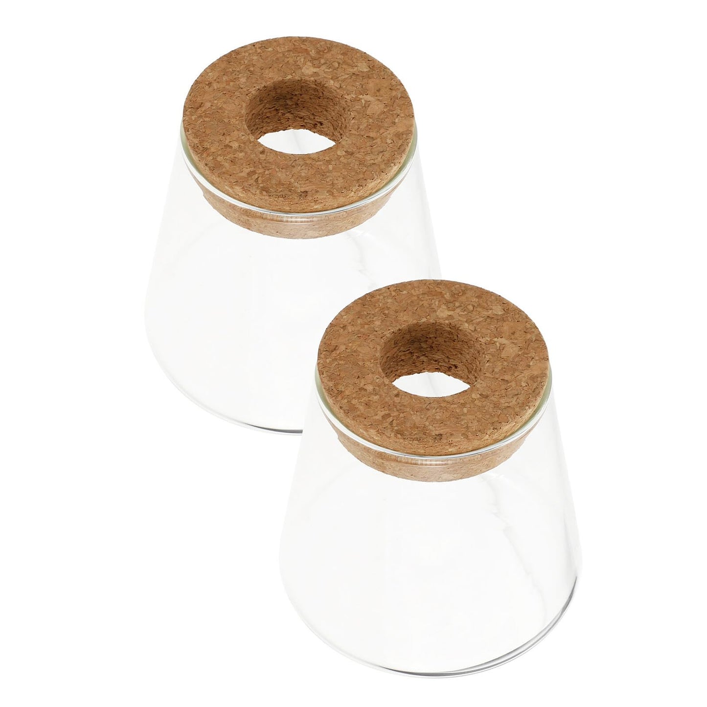 GRIRIW 2pcs Hydroponic Plants Vase Glass Planter Small Desktop Terrarium Container for Water Plant Propagation Home Office Décor