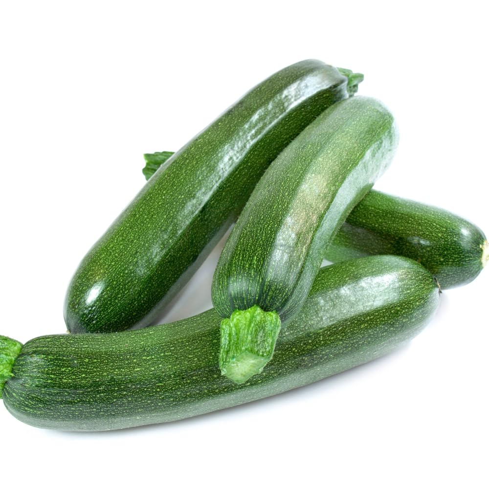 2 Live Squash Plants, 5 to 7 Inch Tall Green Squash Plants Live in 4 Inch Pot, Green Squash Zucchini Plants Seedlings,