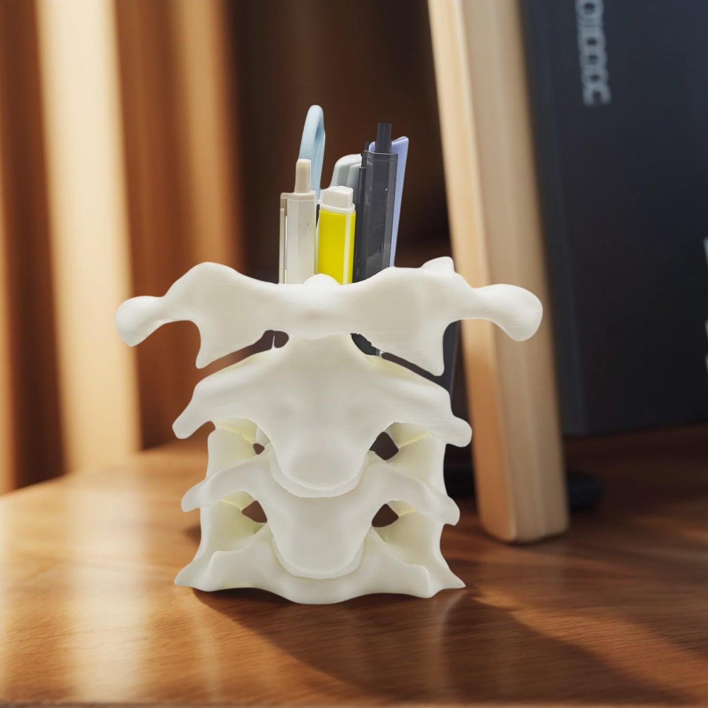 TIME&TRAVE Unique Spine Pen Holder for Desk, Pencil Holder Desk Organizers, Office Supplies Decorations Idea Gift for Doctors, Nurses, Chiropractors