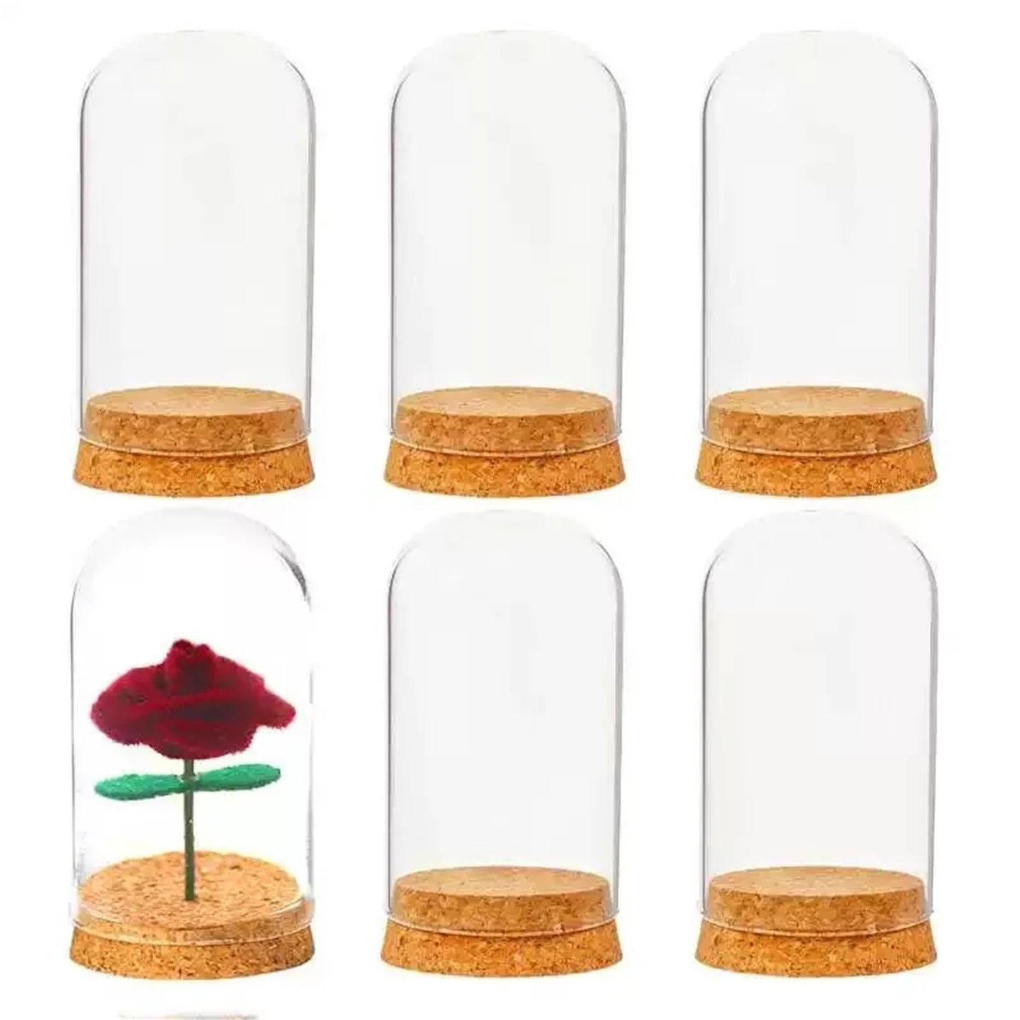 10X Da30mm Glass Bottle Terrarium Jar Cork Base Dome Dust Cover DIY Specimen Succulent Plant Micro Landscape Flower Vase Display(30x40cm)