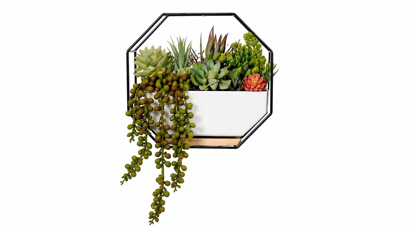 IRYL Wall Planter for Indoor Plants - Ceramic Wall Hanging Planter Set with Bamboo Tray & Hooks - Decorative Wall Plant Holder - Modern Wall Planters for Vertical Garden Home Decor - Black