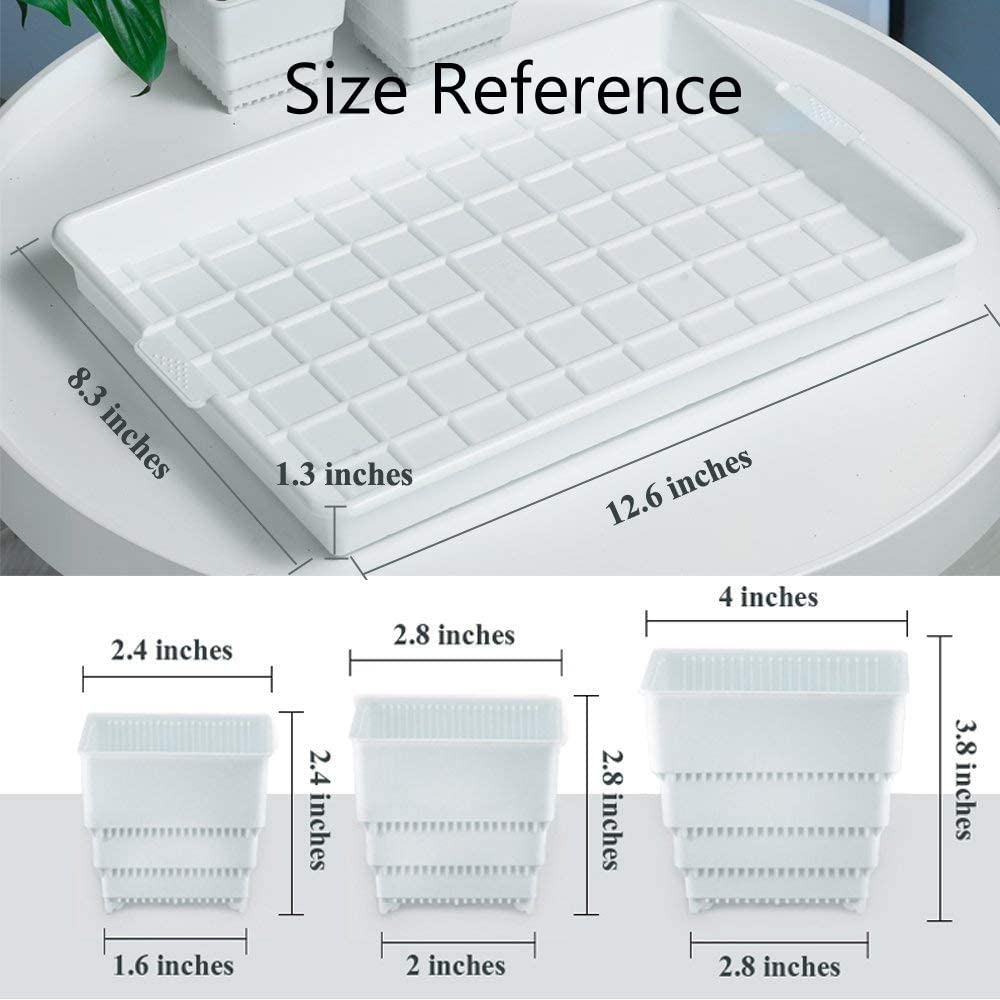 Meshpot Succulent Pots, 12Pcs 2.8 Inch Planters with 14 x 9.4 Inch Tray, Plastic Cactus Pot with Drainage, Square Seedlings Pot Match Long Rectangular Tray