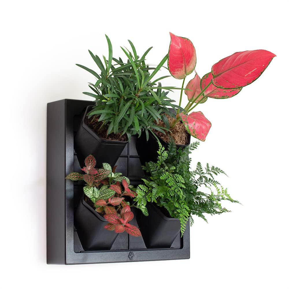 Inspiration Jungle Self Watering Wall Planter with 4 Pots - Easy to Create Indoor Living Wall for Home, Office and Shop Front - Includes Water Gauge (Black)