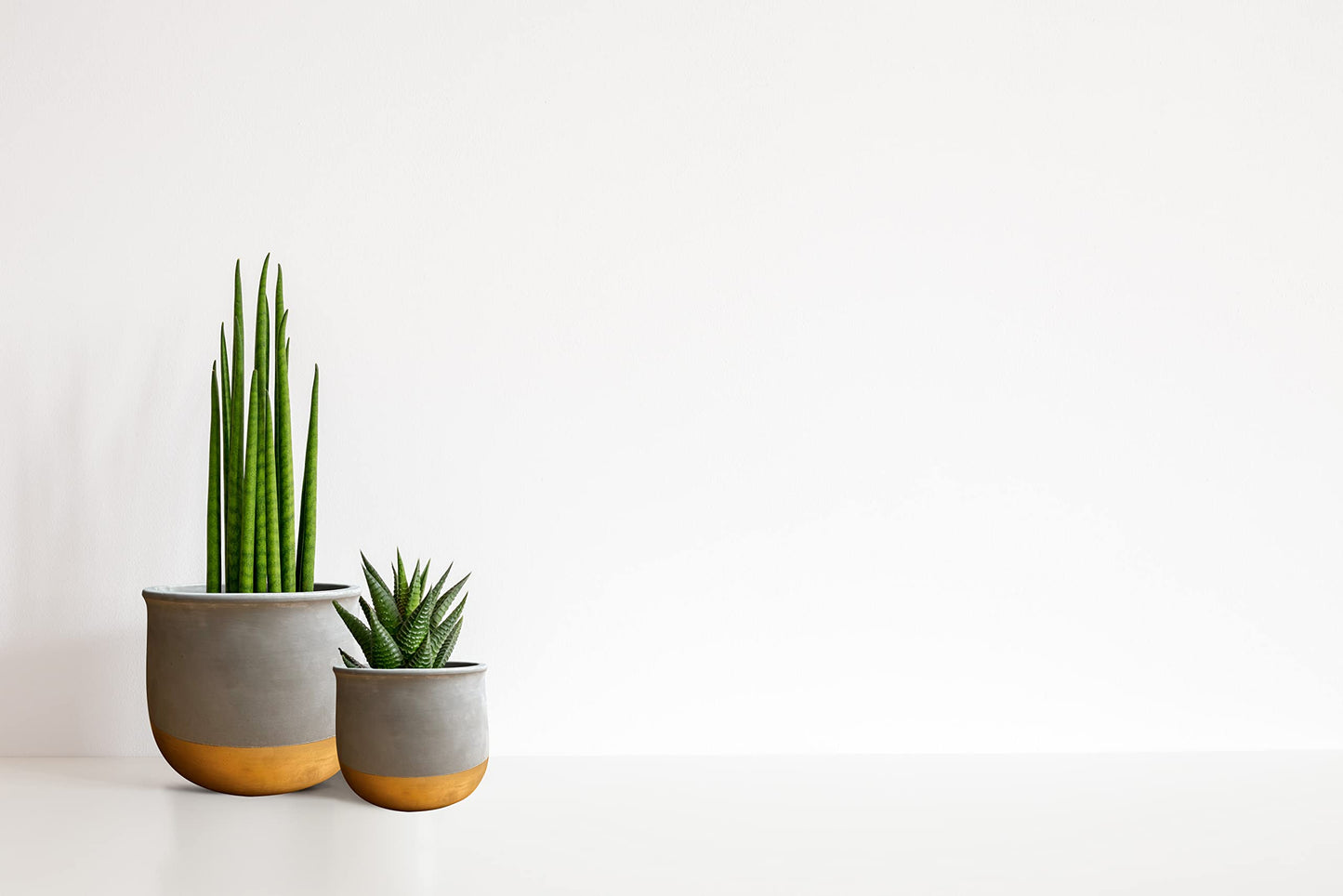 Olly & Rose Gold Dip Ceramic Plant Pot Set 2 Indoor Planters 17cm + 12cm Outdoor Flower Pots Cement Plant Pots