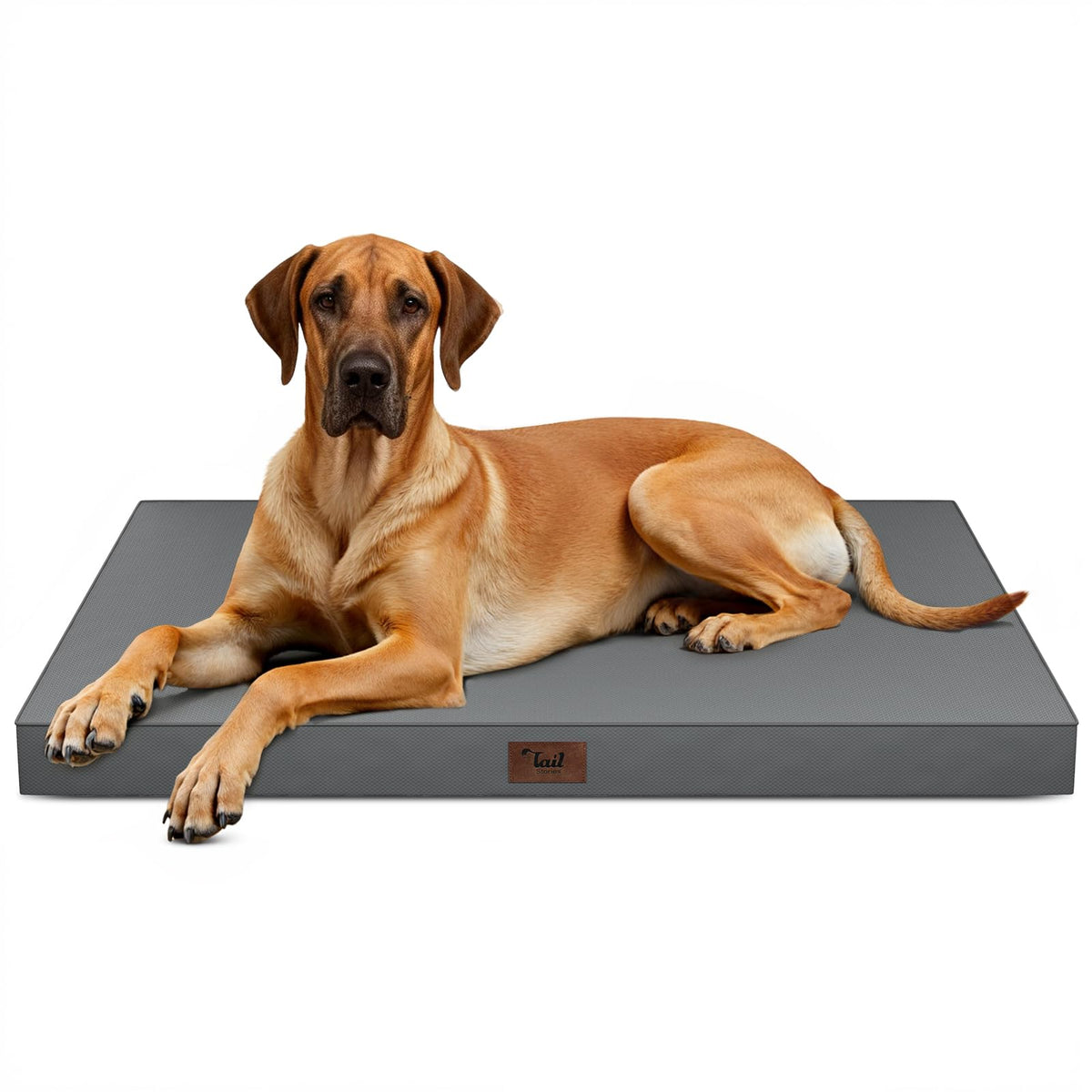 Tail Stories Jumbo Waterproof Orthopedic Dog Bed for Extra Large Dogs