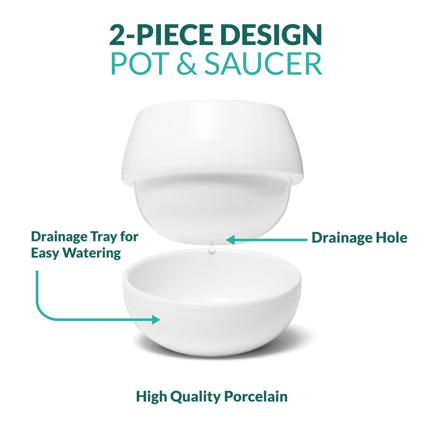 Willowy Small Succulent Pot (1 Pack) - Succulent Pots with Drainage Tray - Ceramic Plant Pots, Cactus/Succulent Planters, Small Flower Pot - No Succulents/Plants Included