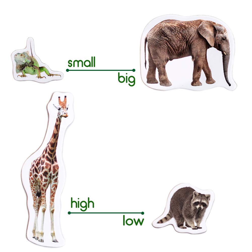 Fridge Magnets for Toddlers - Magdum - 110 Set Zoo+Farm+Fruit+Vegetable+Transport - Real Magnetic Animals for Refrigerator - Realistic Magnets for Kids - Learning Toy Set - Baby Educational Gift