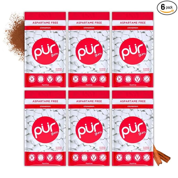 PUR Gum | Aspartame Free Chewing Gum | 100% Xylitol | Natural Cinnamon Flavored Gum, 55 Pieces (Pack of 6)