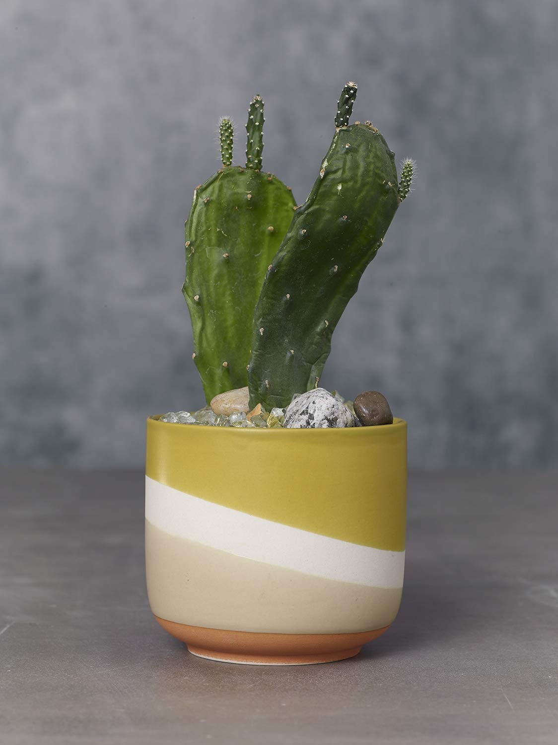 AC Decor Small Ceramic Color Block Planter (4", Olive Green)