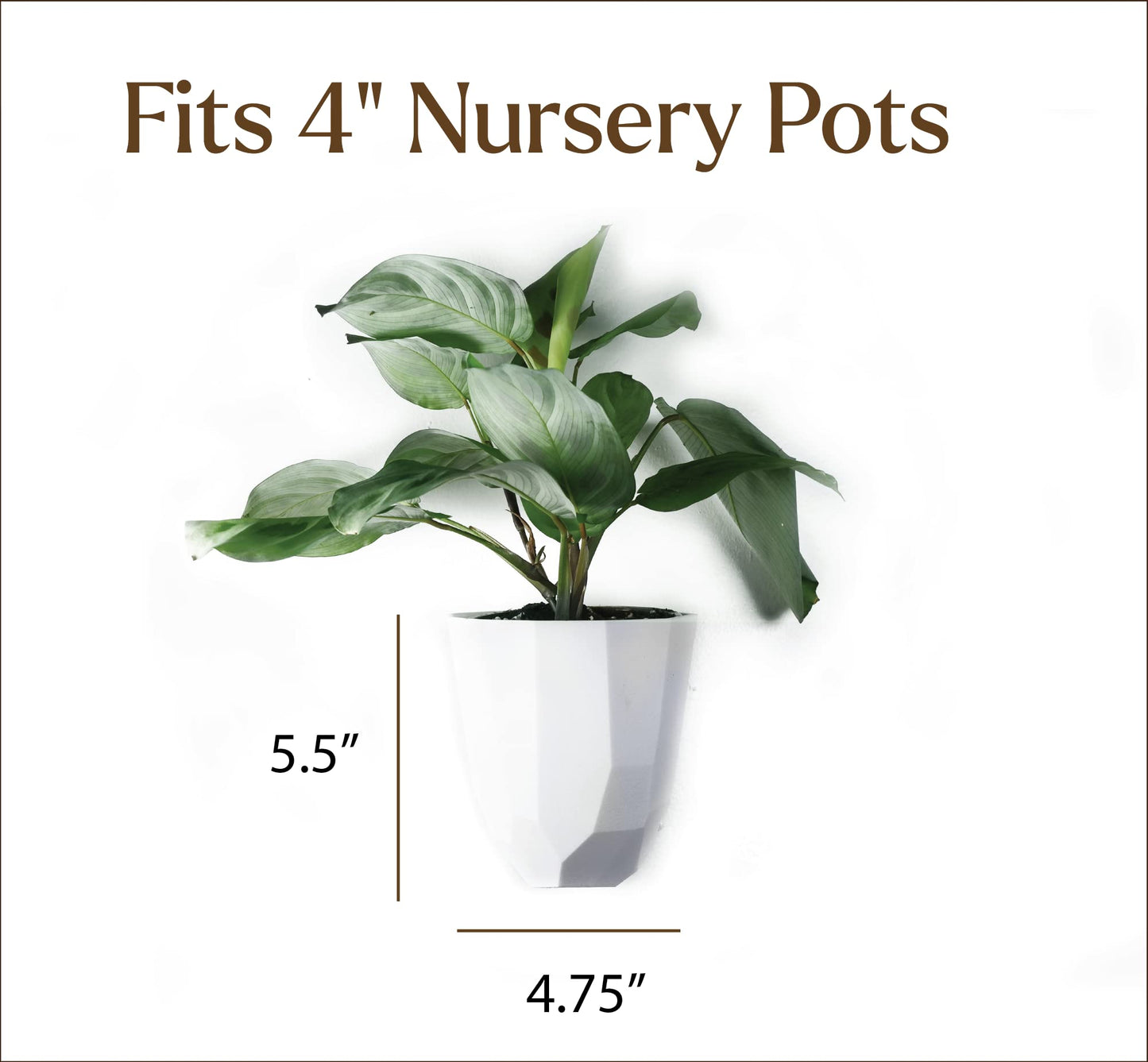 Make Good Virgo Wall Planters (Geometric, Set of 6) - Easy to Water and Install - Lightweight - Design Your Own Vertical Garden - Melamine Plastic