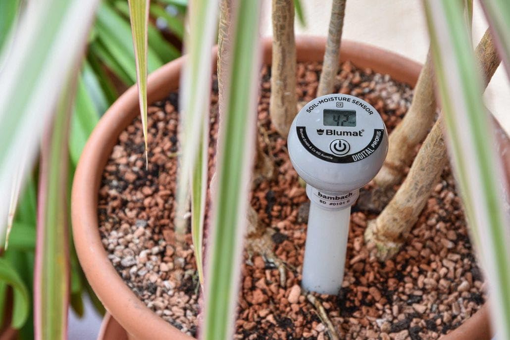Blumat Moisture Meter for Plants - Accurate Soil Moisture Meter - Easy to Use Advanced Water Meter for Gardening (Moisture Meter with Cap)
