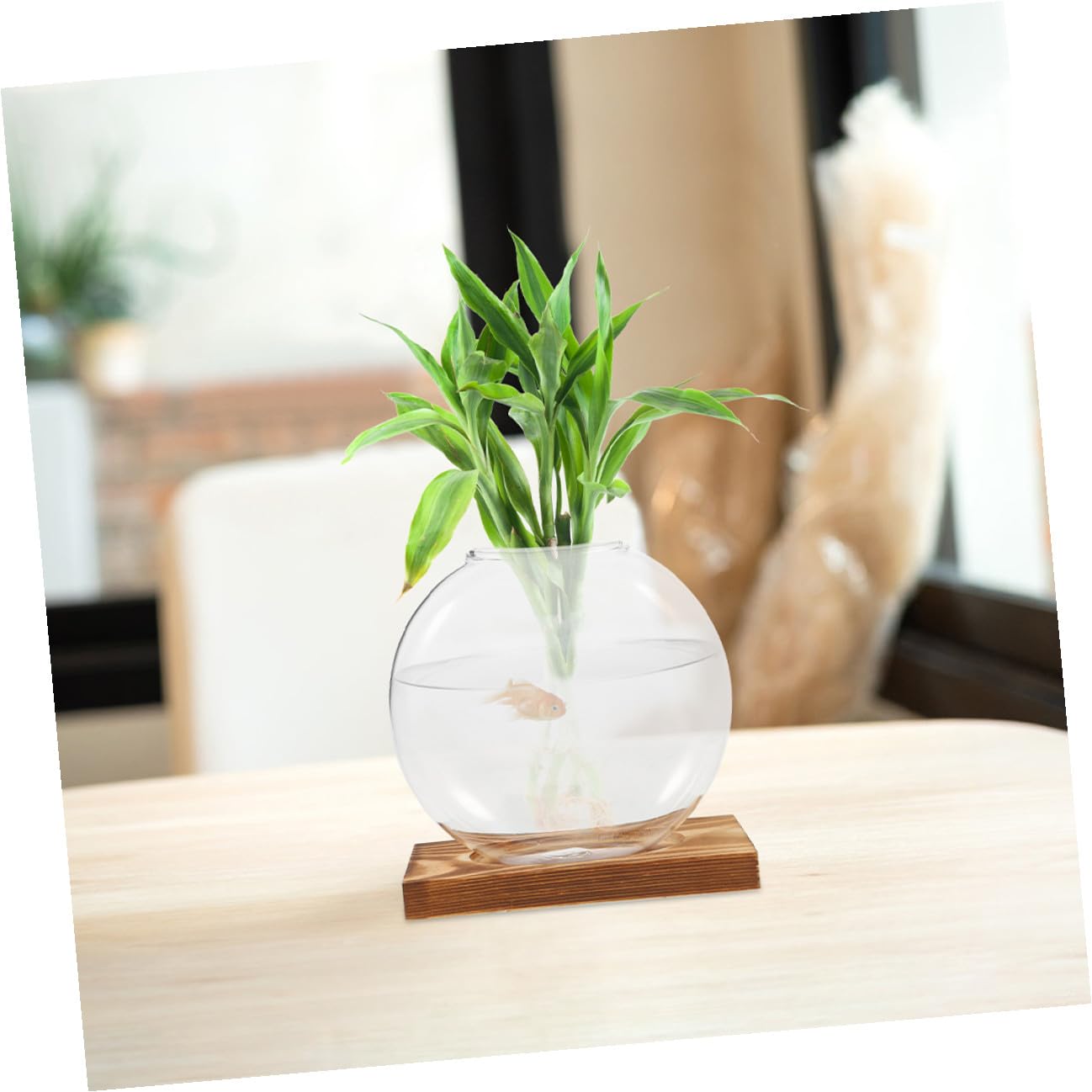 FUTUREORYY 2pcs Indoor Plant Vase with Wooden Base, Hydroponic Glass Planter for Propagation, Desktop Terrarium Suitable for Home and Office Décor