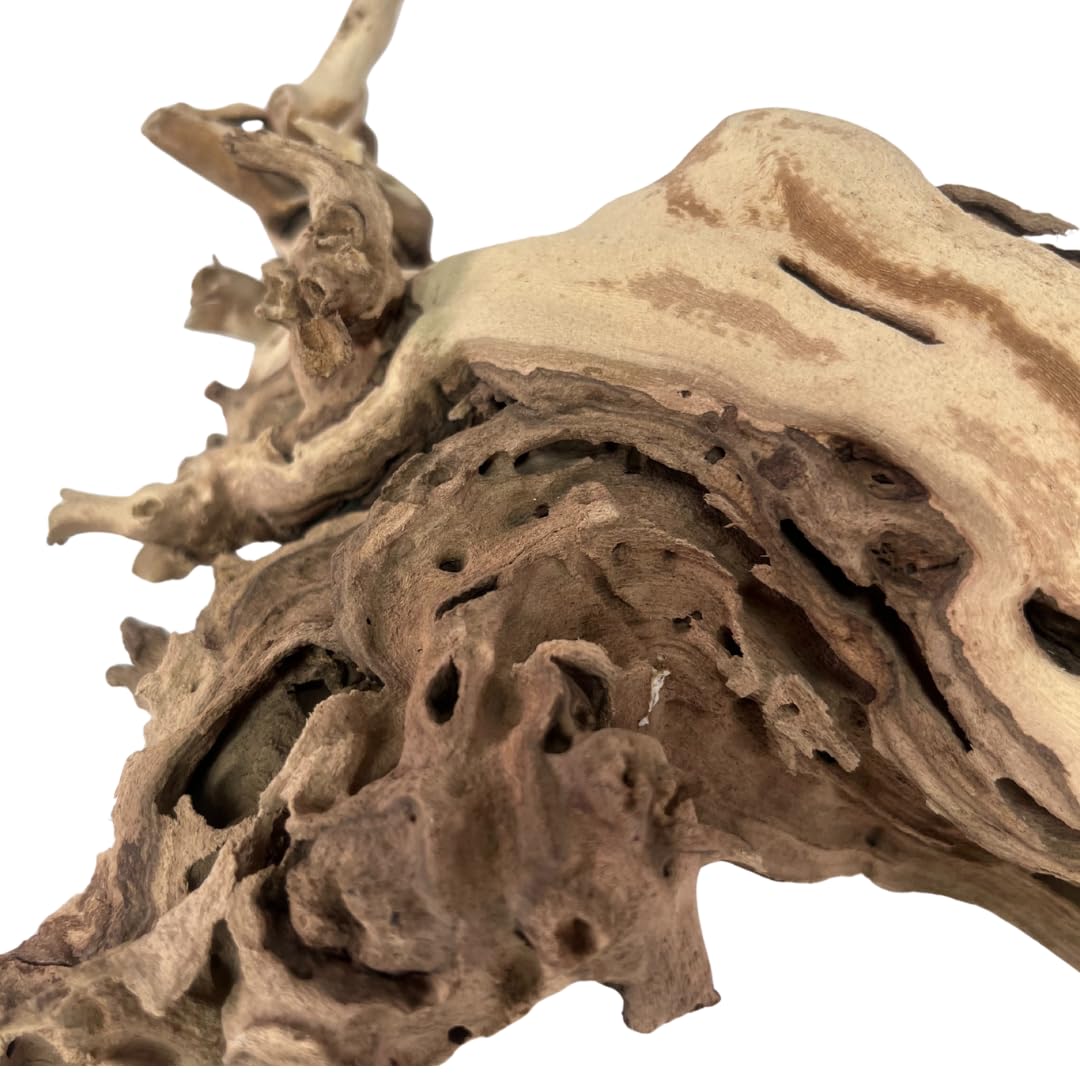 Koyal Wholesale 12" Sandblasted Grapevine Wood for Hamsters, Reptiles Terrarium, Exotic Untreated Grapewood Branch for Decoration Home Wedding DIY