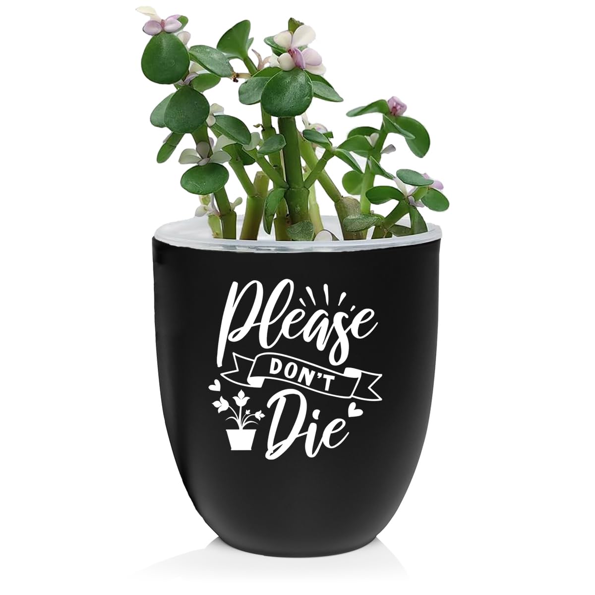 MIP Ceramic Planter Plant Pot with Plastic Liner Gift Please Don't Die (Black)