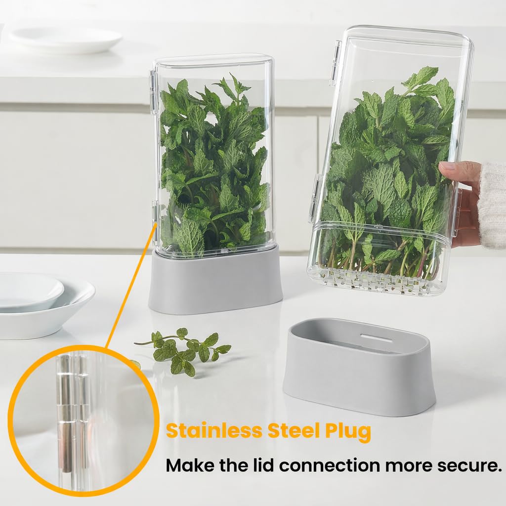 vacane Herb Keeper for Refrigerator, Fresh Herb Saver Herb Storage Containers, Cilantro Container for Fridge Asparagus Container, Dishwasher Safe