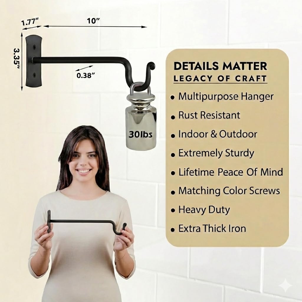 RTZEN Plant Hangers Outdoor or Indoor - Wrought Iron Metal Hanger Indoor Hook - Heavy Duty Wall Bracket Hooks for Hanging Plants Baskets Lanterns Wind Chimes - 2 Pack (Black Shepherds Hooks 10")