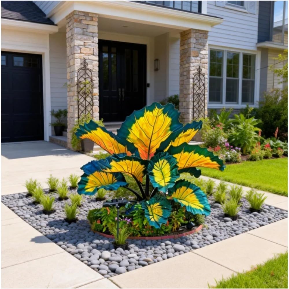Elephant Ear Bulb for Eye-Catching Foliage, Outdoor Living Areas