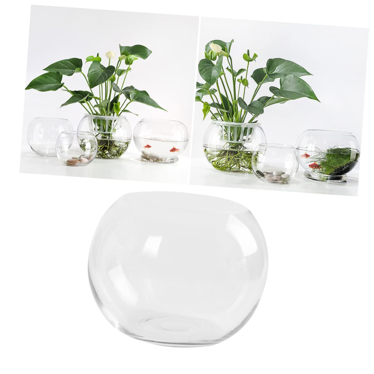 Ipetboom Transparent Hydroponic Glass Vase Rounded Desktop Plant Holder for Home Office Hotel Decor Smooth Rust Resistant Surface Fish Tank Terrarium Centerpiece
