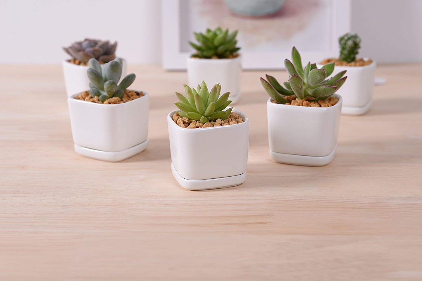 WISH HALLY WOOD Mini 6 Set of 2x2x1.65inch Square Modern Minimalist White Ceramic Succulent mini Planter Pot/Window Box with Saucer (6, 2inch)