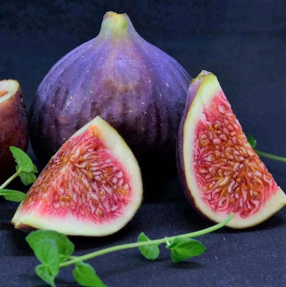 Fignominal Dwarf Fig, Ficus, 3 Gallon, Compact Fruit Tree, Full Sun