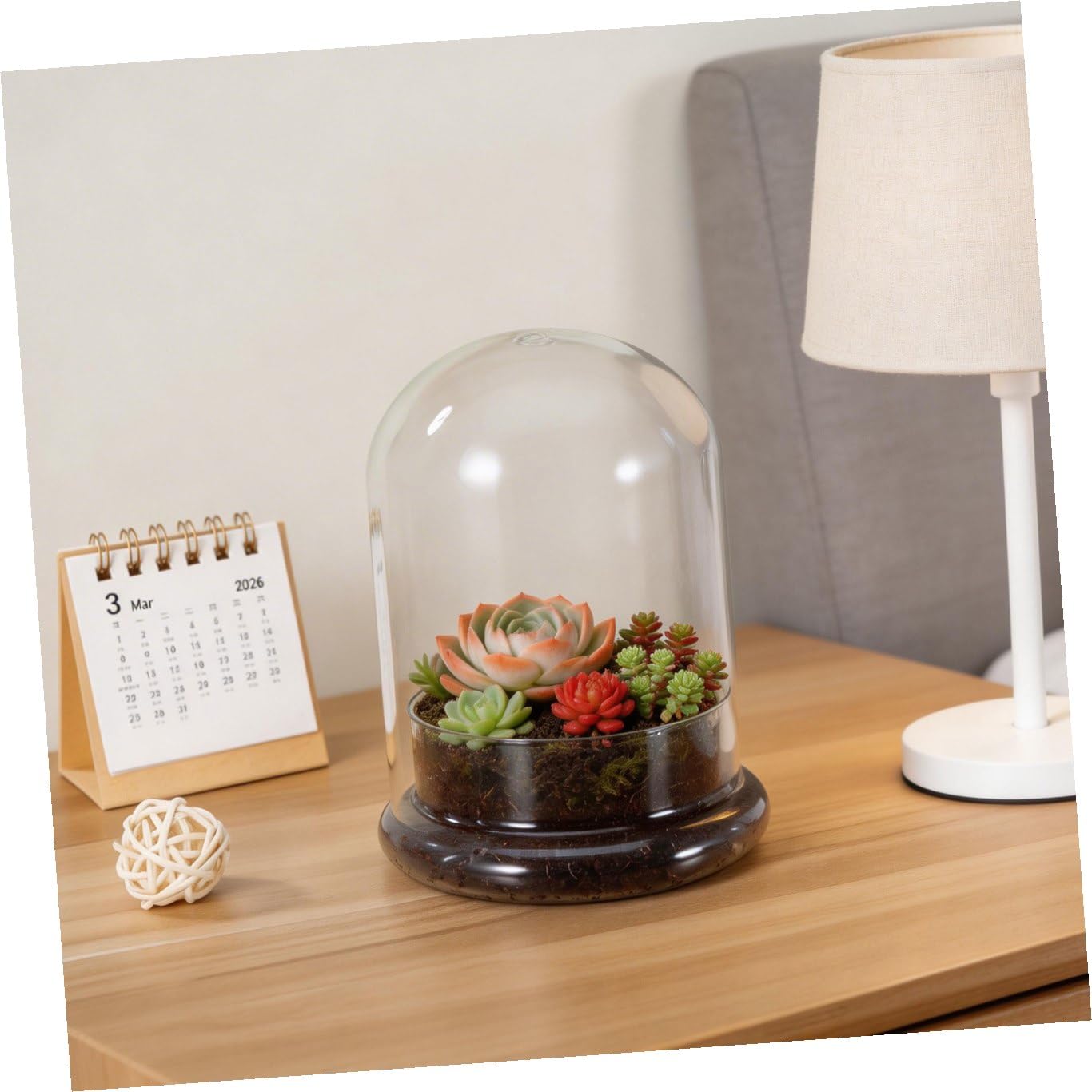 Micro Landscape Vase Glass Plants Terrarium Decorative Landscape Bottle Micro Landscape Planter Bottle Micro Landscape DIY Bottle Glass Terrariums for Plants DIY Plants Container