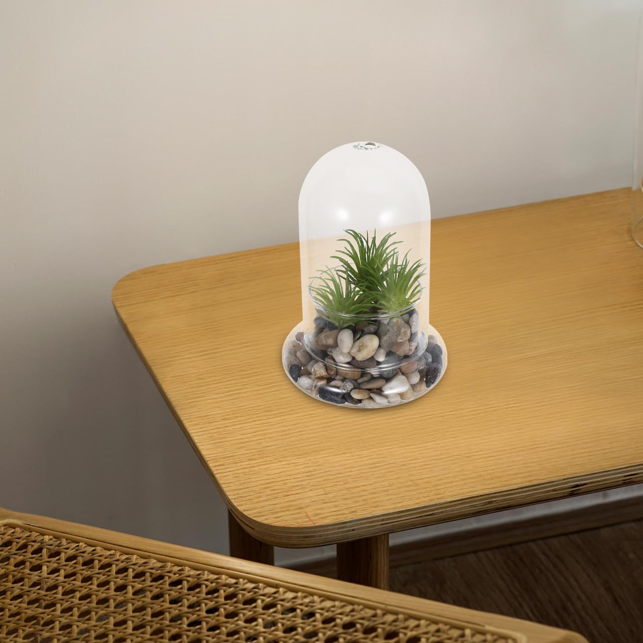 Yardwe 2Pcs Micro Landscape Bottle Terrarium Glass Jars - 6.69X4.72X4.72In Ecological Decorative Bottles for Home Office DIY Plant Display