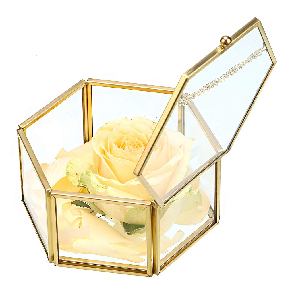 Hipiwe Preserved Flower Glass Box, Hexagon Glass Jewelry Decorative Bin, Ornate Trinket Display Organizer Case Keepsake Box Gift for Women