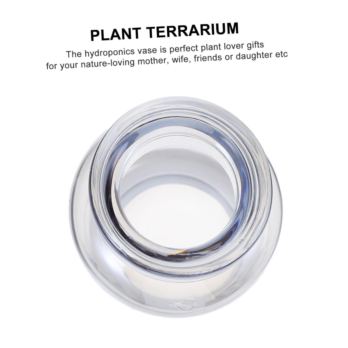 Ipetboom Glass Hydroponics Vase for Desktop Plant Propagation Transparent Small Mouthed Terrarium Planter Decorative Vase for Home and Event Display