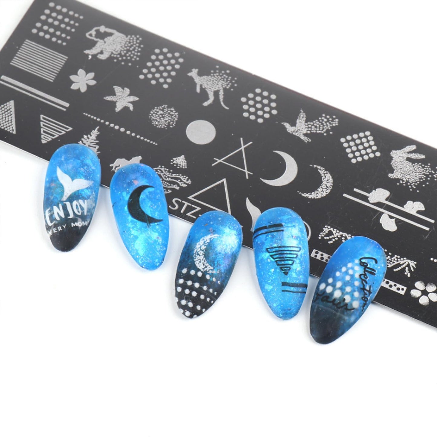 JERCLITY 8pcs Nail Stamping Plates Nail Stamping Kit Rose Fruit Animal Snake Image Plates Nail Art Design Template Print Nail Stamper Kit for Women