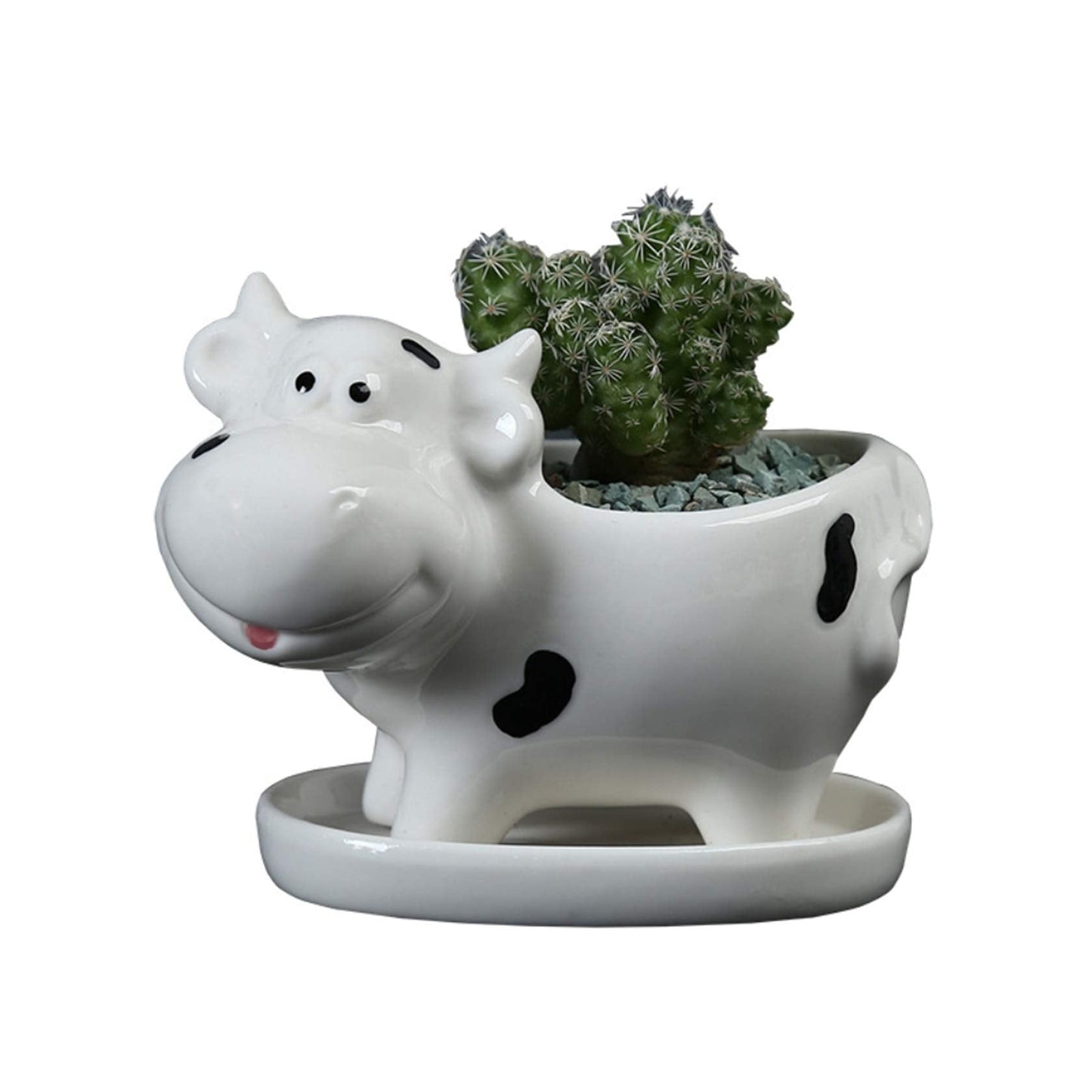 Gemseek Cute Cow Succulent Planter Pot with Drainage Tray, Small White Ceramic Cactus Flower Container, Animal Shaped Indoor Air Plants Holder