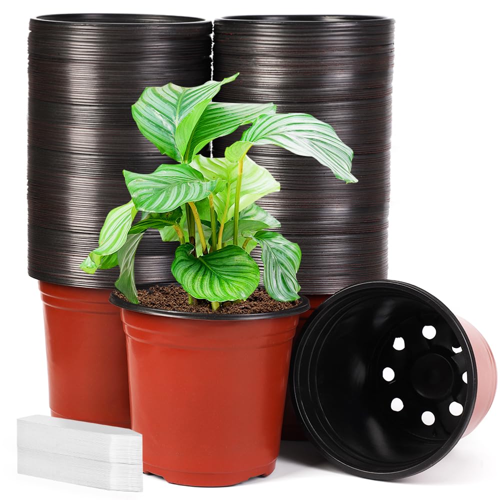 JERIA 200 Pack 6 Inch Plastic Nursery Pots Comewith Drainage Holes, Seedling Flower Plant Container and Seed Starting Pots with 200 Pcs Labels