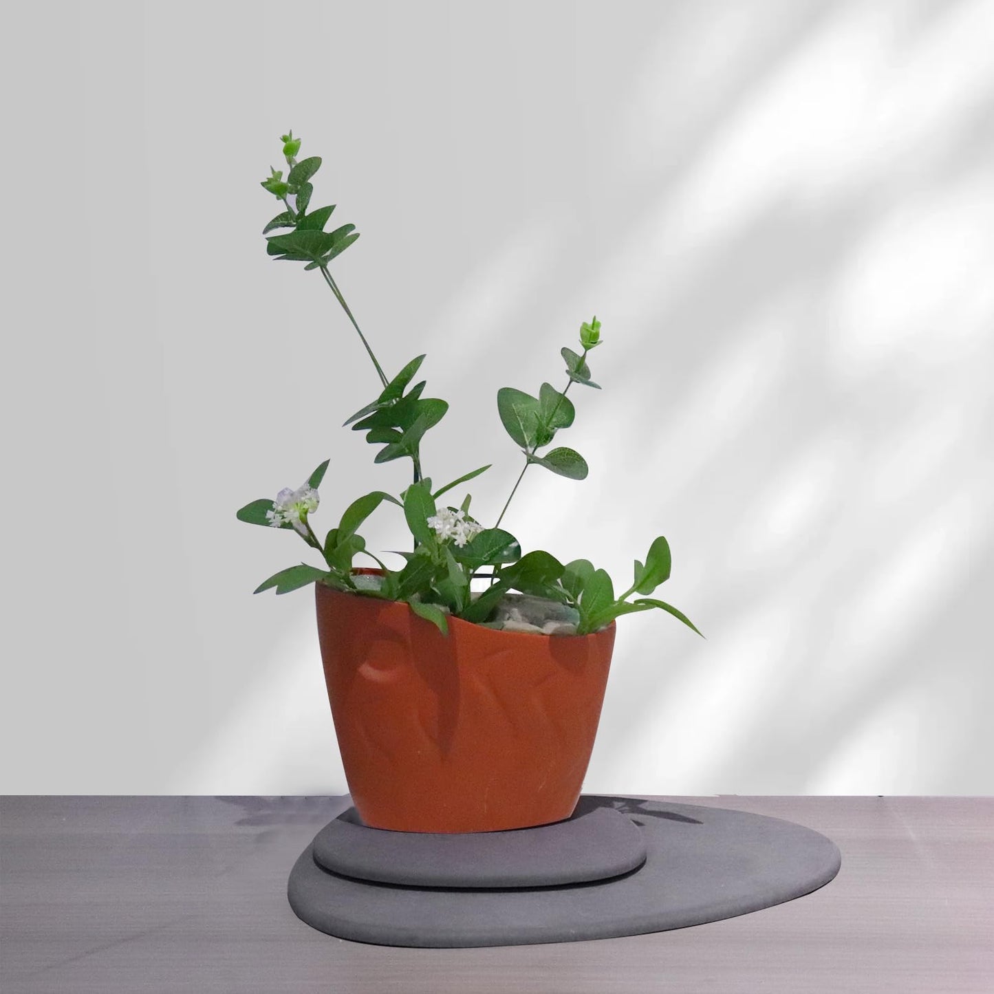 Elfcool Plant Saucer Quick Dry Absorbent Flower Pot Saucer Dirp Tray Diatomaceous Earth Mat for Indoor Outdoor Plants (8''-Dark Grey-2pack)