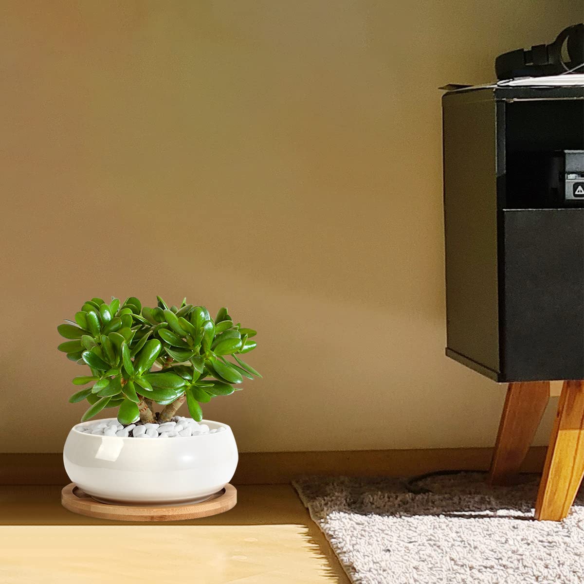 ZOUTOG Succulent Pots, White Mini 3.15 inch Ceramic Flower Planter Pot with Bamboo Tray, 6 inch Ceramic Planters for Indoor Plants, Plants Not Included