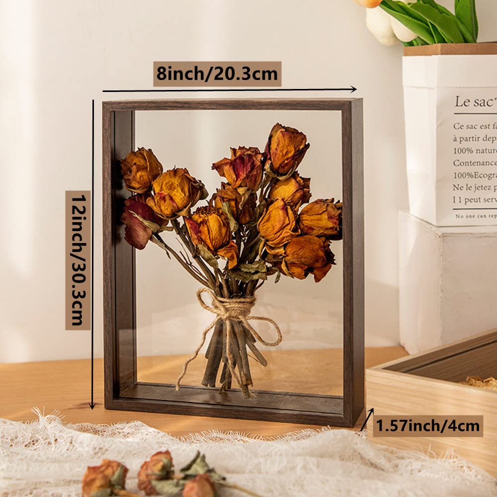 Brown Dried Flower Display Stand - Double Sided Plexiglass Shadow Box, Handicrafts (8x12)